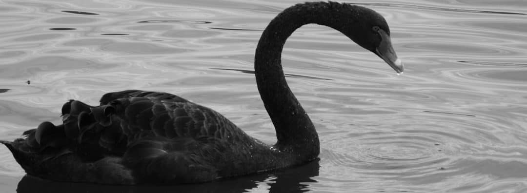 The “Black Swan” for Banks?