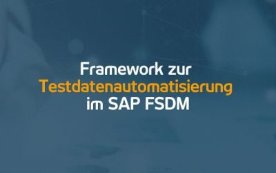 Framework zur Testdatenautomatisierung im SAP FSDM | 10.11.21