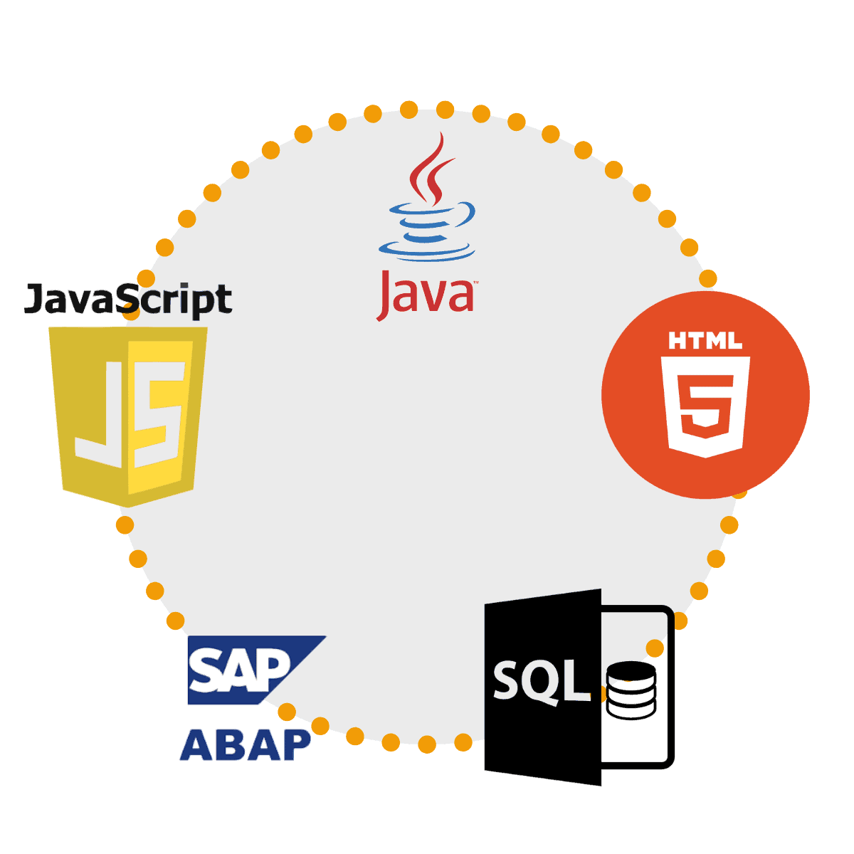 JavaScript, HTML 5, SQL, Java, SAP ABAP