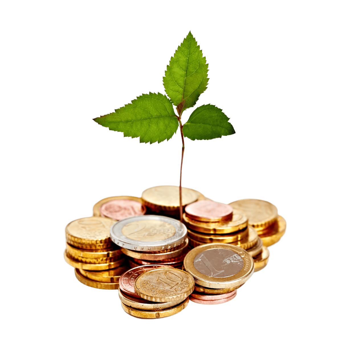 ESG Bäume auf Geldstapel