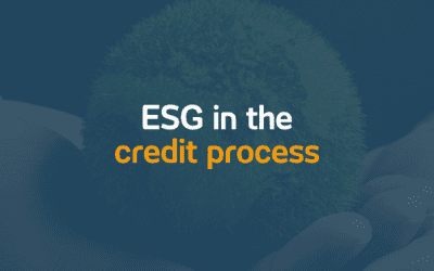 ESG in the credit process