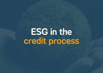 ESG in the credit process