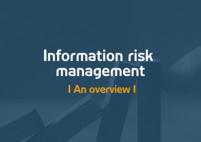 Information risk management – an overview