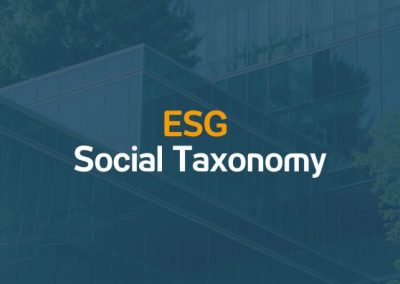 ESG: Social taxonomy