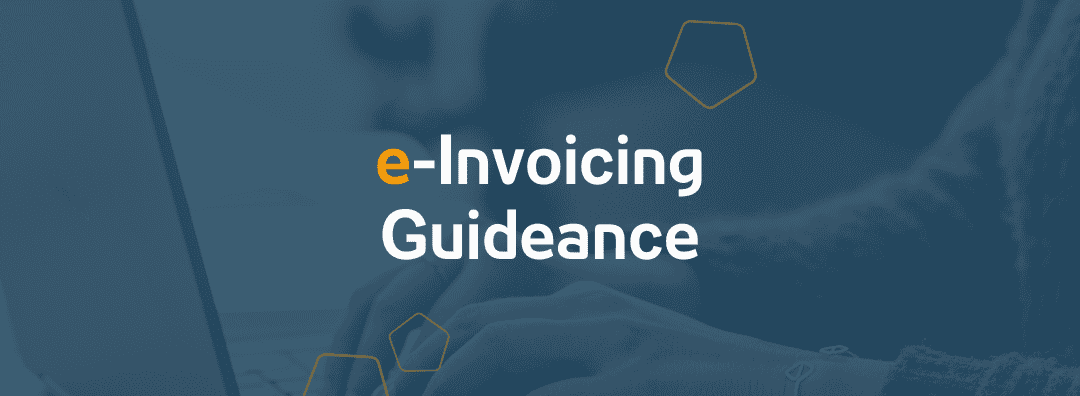 E-Invoicing Guideance | 21.05.2024
