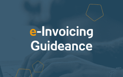 E-Invoicing Guideance | 21.05.2024